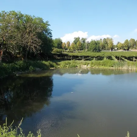 Ca' Vecia Lantgård Castelnuovo del Garda
